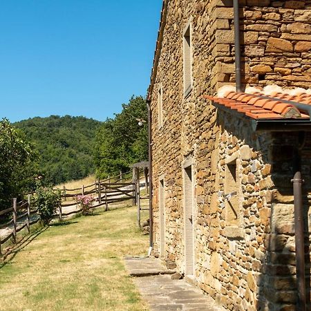 ארצו Agriturismo Con Piscina In Toscana, Tribbiano מראה חיצוני תמונה