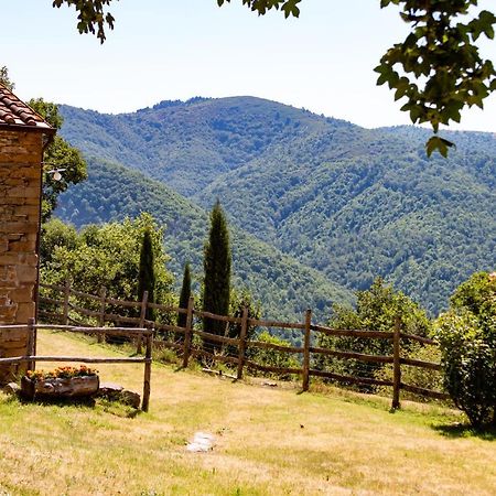 ארצו Agriturismo Con Piscina In Toscana, Tribbiano מראה חיצוני תמונה