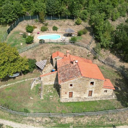 ארצו Agriturismo Con Piscina In Toscana, Tribbiano מראה חיצוני תמונה