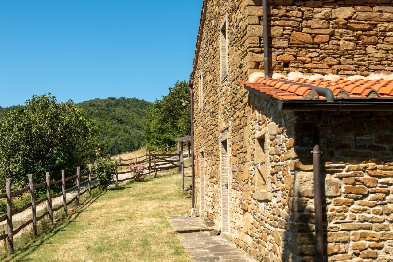 ארצו Agriturismo Con Piscina In Toscana, Tribbiano מראה חיצוני תמונה