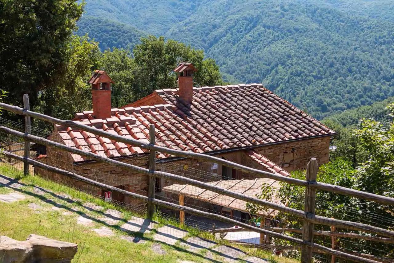 ארצו Agriturismo Con Piscina In Toscana, Tribbiano מראה חיצוני תמונה